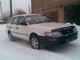 1998 Toyota Corolla Wagon