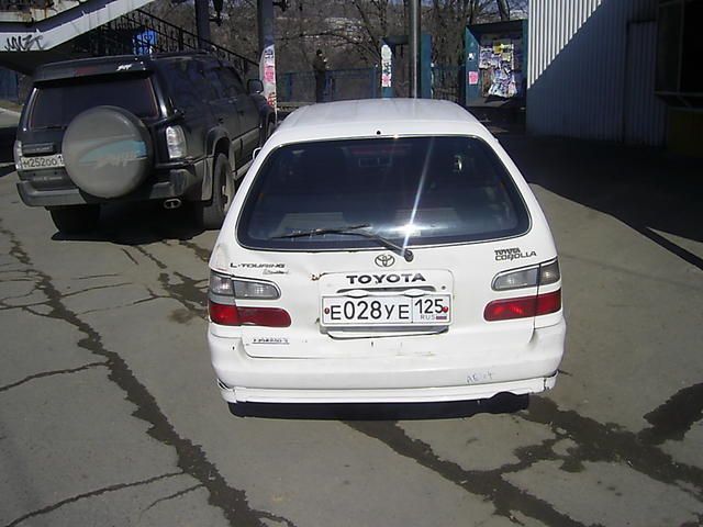 1998 Toyota Corolla Wagon