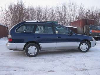 Toyota Corolla Wagon