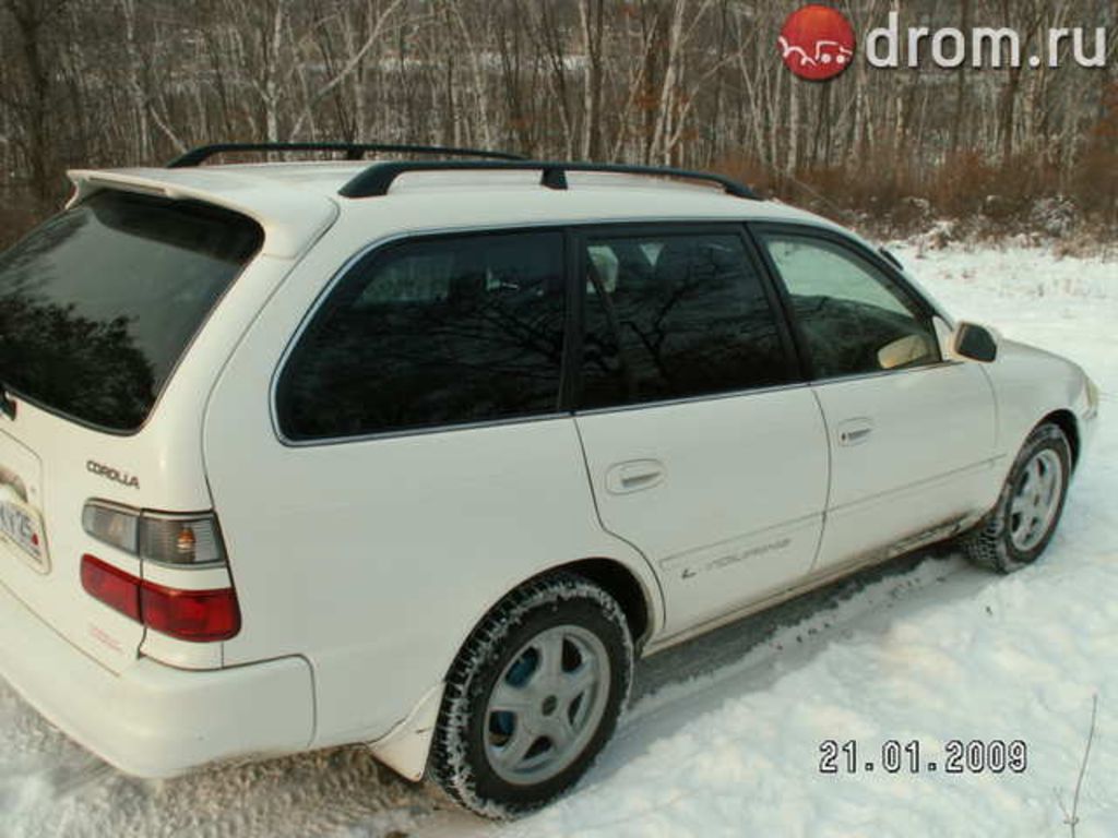 1998 Toyota Corolla Wagon