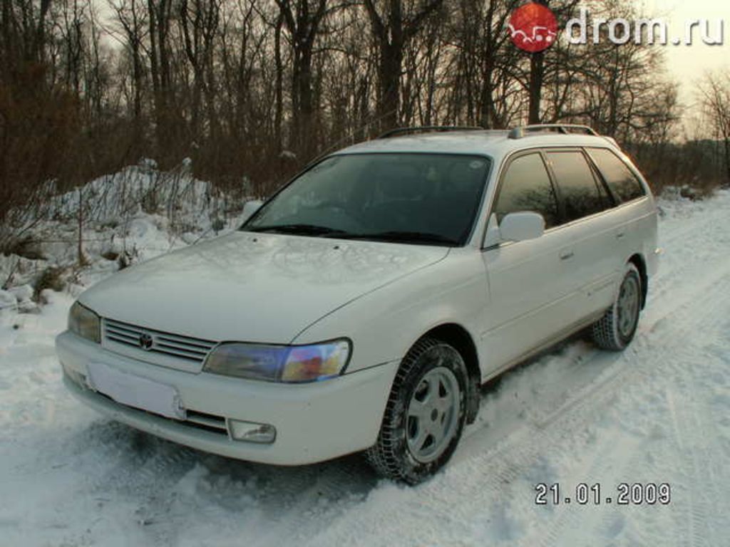 1998 Toyota Corolla Wagon