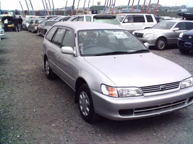 1998 Toyota Corolla Wagon Pictures