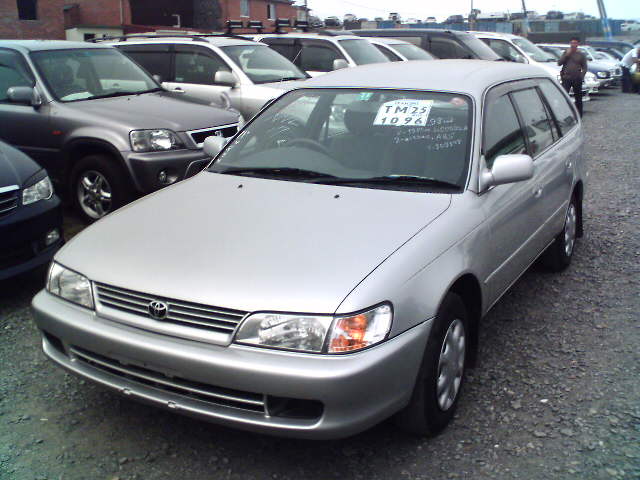 1998 Toyota Corolla Wagon Pics