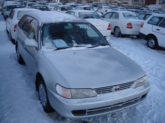 1998 Toyota Corolla Wagon