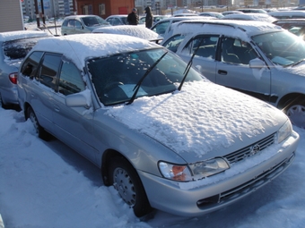 1998 Toyota Corolla Wagon