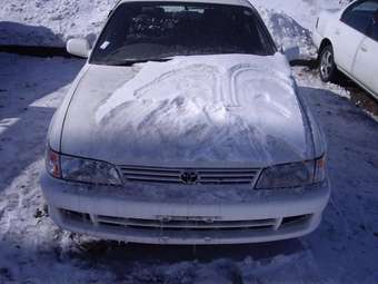 1998 Toyota Corolla Wagon Photos