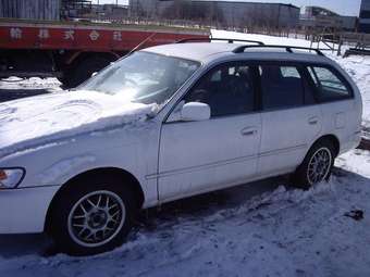 1998 Toyota Corolla Wagon Photos