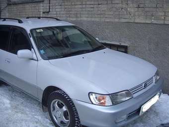 1998 Toyota Corolla Wagon Pictures