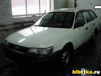 1999 Toyota Corolla Wagon