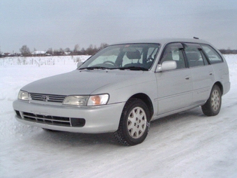 1999 Toyota Corolla Wagon