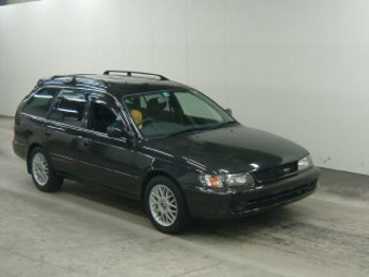 1999 Toyota Corolla Wagon