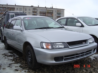 1999 Toyota Corolla Wagon