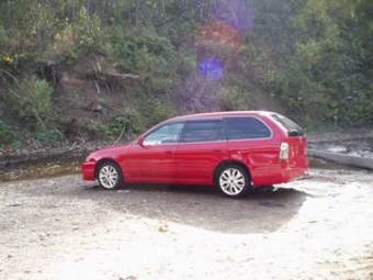 1999 Toyota Corolla Wagon