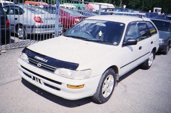 1999 Toyota Corolla Wagon