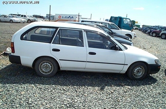 1999 Toyota Corolla Wagon