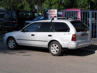 1999 Toyota Corolla Wagon