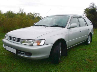 1999 Toyota Corolla Wagon