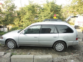 1999 Toyota Corolla Wagon