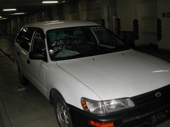 1999 Toyota Corolla Wagon