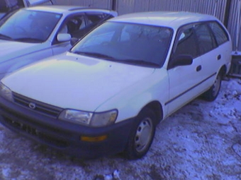 1999 Toyota Corolla Wagon