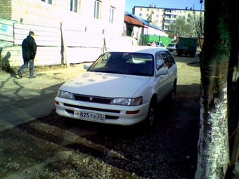 1999 Toyota Corolla Wagon