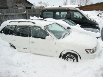 1999 Toyota Corolla Wagon