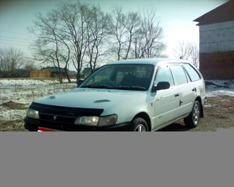 1999 Toyota Corolla Wagon