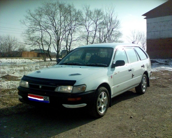 1999 Toyota Corolla Wagon