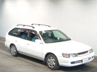 1999 Toyota Corolla Wagon