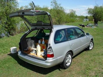 Toyota Corolla Wagon