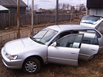 1999 Toyota Corolla Wagon