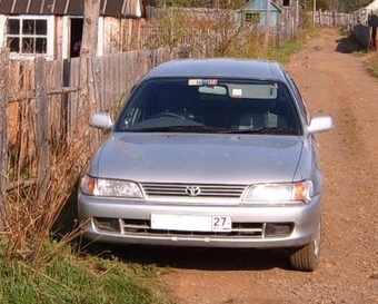 Corolla Wagon