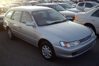 1999 Toyota Corolla Wagon