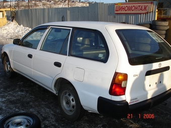 Corolla Wagon