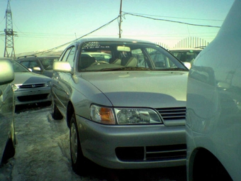 1999 Toyota Corolla Wagon