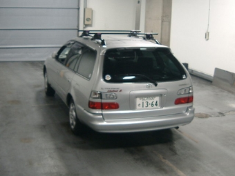 Corolla Wagon