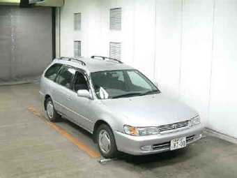 1999 Toyota Corolla Wagon