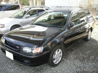 1999 Toyota Corolla Wagon