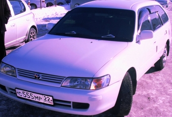 1999 Toyota Corolla Wagon