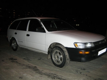 Toyota Corolla Wagon
