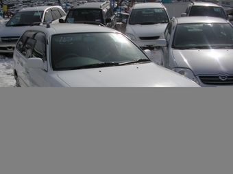 1999 Toyota Corolla Wagon
