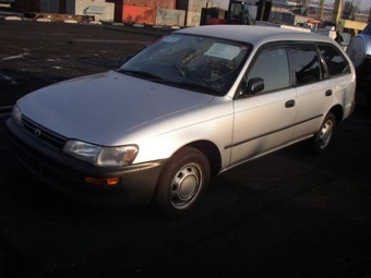 1999 Toyota Corolla Wagon