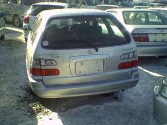 1999 Toyota Corolla Wagon