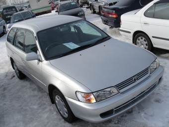 1999 Toyota Corolla Wagon