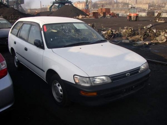 1999 Toyota Corolla Wagon