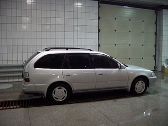 Corolla Wagon