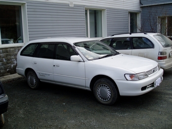 1999 Toyota Corolla Wagon