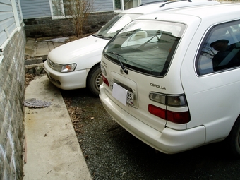 Toyota Corolla Wagon