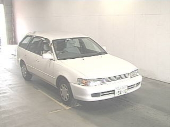 1999 Toyota Corolla Wagon