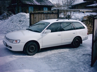 1999 Toyota Corolla Wagon